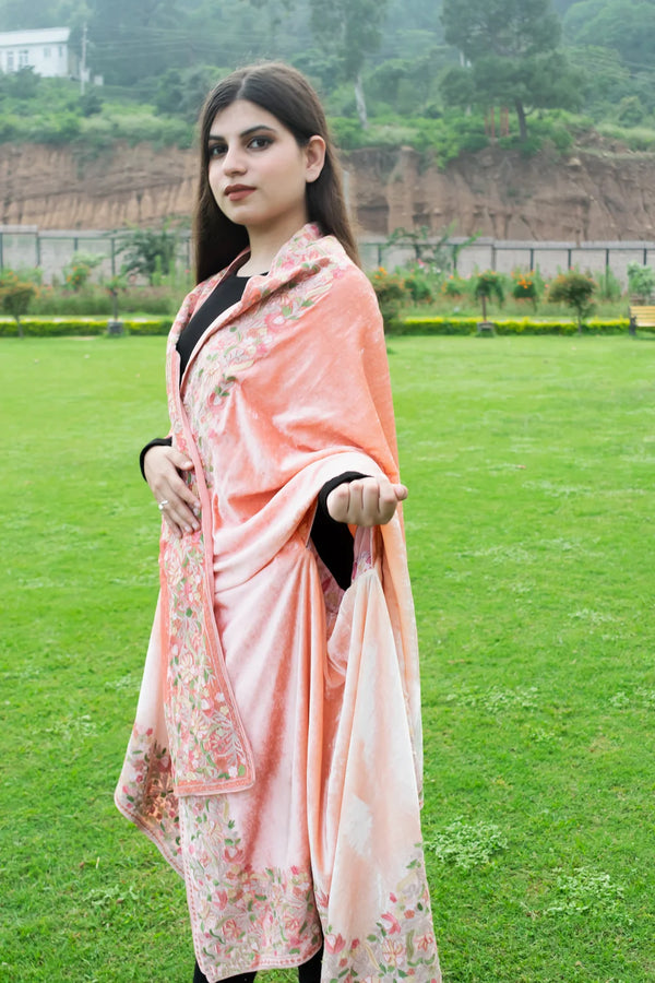Gloss Velvet Ombre Cape with Aari Work