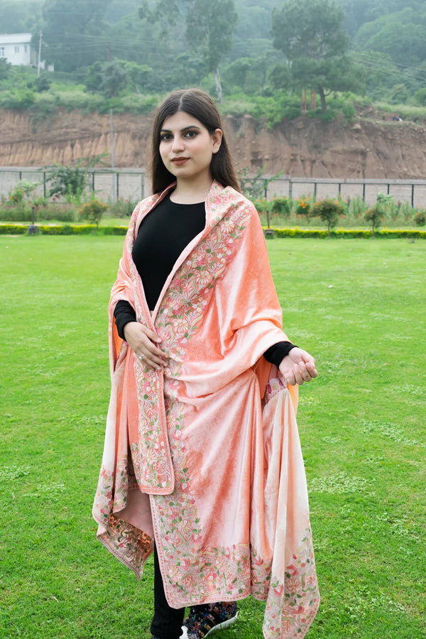 Gloss Velvet Ombre Cape with Aari Work