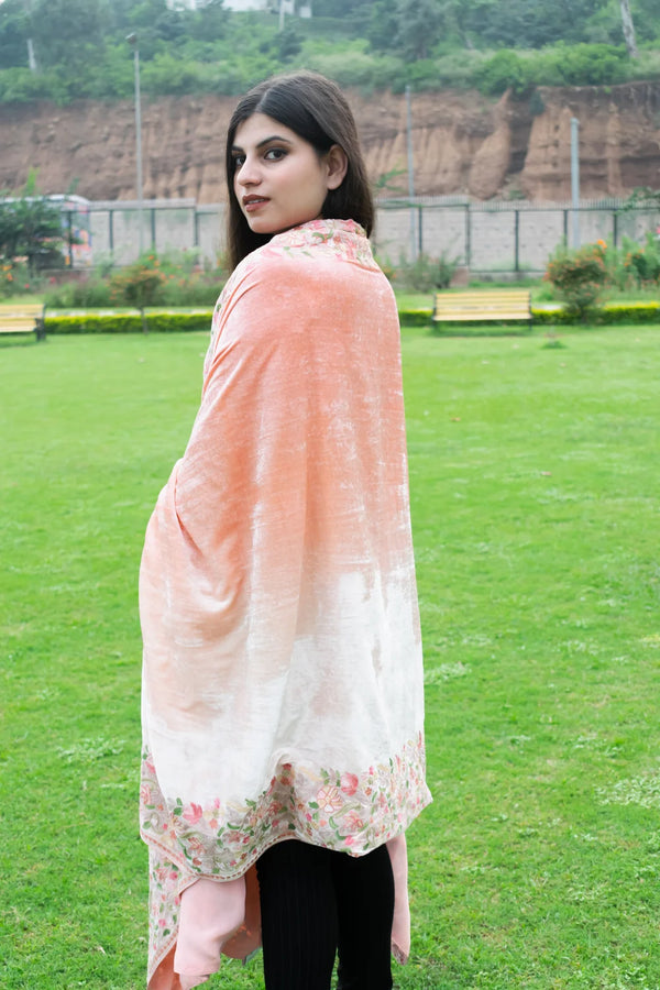 Gloss Velvet Ombre Cape with Aari Work