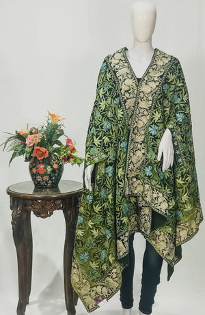 #Green Green Ombre Velvet Cape with Aari Jaal and Tilla Border