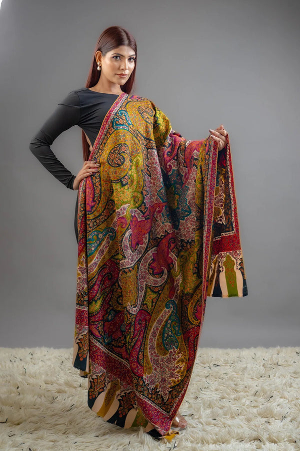 Multi-Colour Pure Pashmina Shawl With Hand Sozni & Kalamkari Embroidery