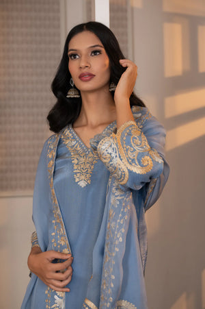 Upper-body close-up showing gold and silver zari embroidery at v-neck and sleeve cuff on sky blue tissue kurta with organza dupatta.