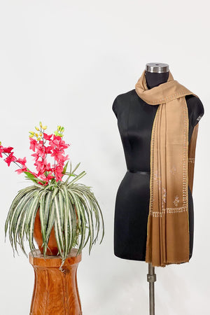 Ombre Brown Pashmina Shawl with Sozni Work