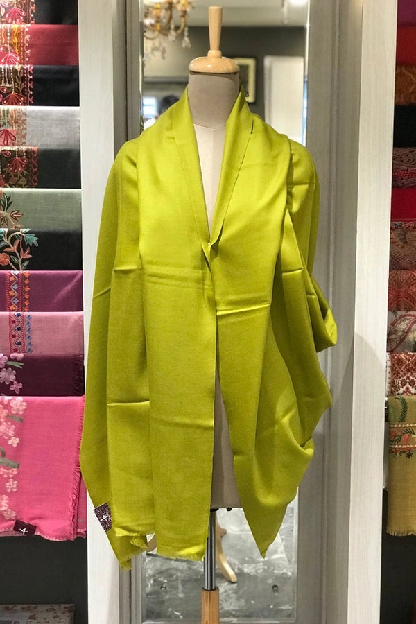#LimeGreen