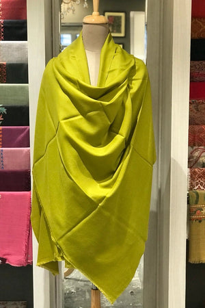 #LimeGreen